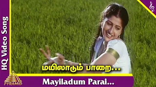 mayiladum parai video song manu needhi tamil movie songs murali prathyusha deva