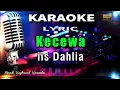 Download Lagu Kecewa Karaoke Tanpa Vokal