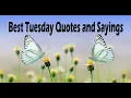 Best Tuesday Quotes and Sayings Tuesday Motivation