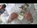 Don t get scammed Here s what an Indy 500 ticket looks like