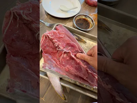 Stop WASTING Bluefin Tuna