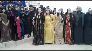 دبكه الحسكه 