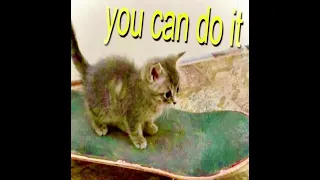  nobodys son sabrina carpenter ending looped