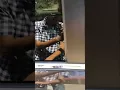 Sunday Lowes Story