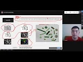 Counting Objects in an Image using Matlab