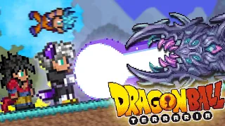 Terraria Calamity Ki Class Is BROKEN