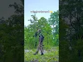 Download Lagu अभी तुम्हारे संघर्ष का समय है #motivation #reels #shorts #fauji #army #commando #viral #video