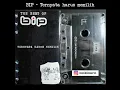 Download Lagu BIP - Ternyata Harus Memilih (source from cassette)