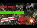Download Lagu Suara Pikat Musang Pandan Nyaring Tanpa Iklan