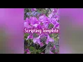 desired reality scripting template for shifting