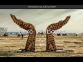 Download Lagu Burning Man 2025: The Man Burns