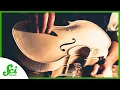 Download Lagu Why Can’t We Make New Stradivari Violins?