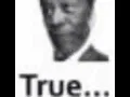 true morgan freeman gif