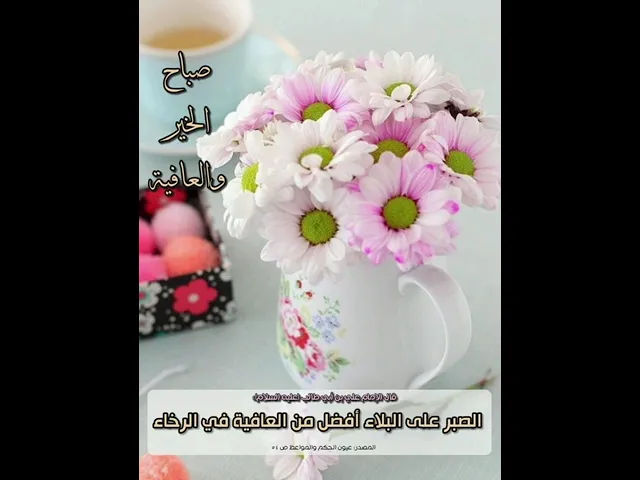 ⁣صباح الخير والعافية