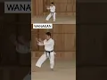 Download Lagu Wankan 王冠 #shotokan #karate #kata