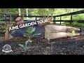 JUNE GARDEN TOUR Let s GROW