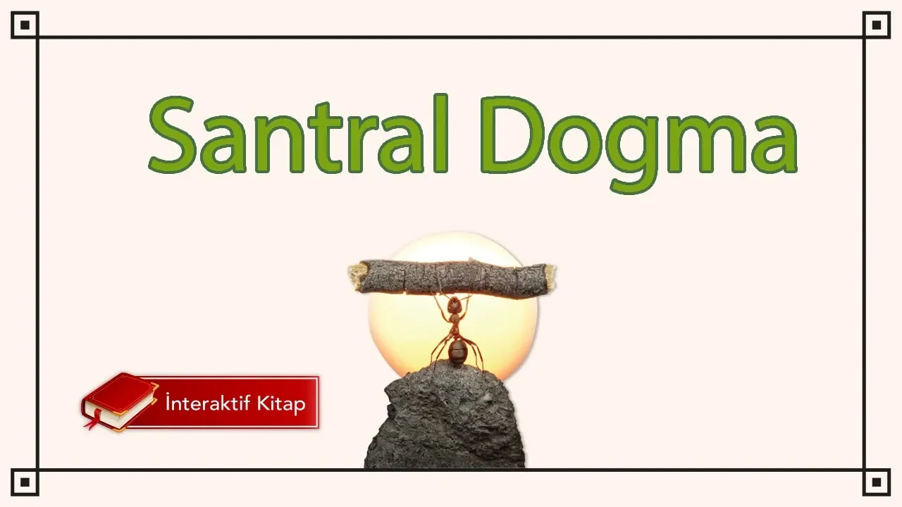 AYT Biyoloji | Santral Dogma #sayfa 142