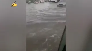 اسكندريه غرقانه من المطر 