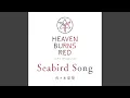 Seabird Song