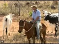 Lagu Globo Rural - Conheça os carreirinhos de Urucuia
