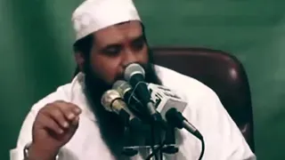 قال الإمام الذهبي عن الإمام الغزالي لولا الصدق الذي فيه لهلك 