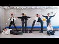 Download Lagu [ Stray Kids Funny Moments ] không 1 ai là bình thường