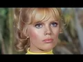 Whatever Happened To The Original Cast Of Lost In Space