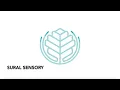 sural sensory study