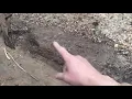 How To Find Arrowheads in a Creek