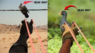 foggy dawn hunt precision headshots in the wild 4k ultra hd english subtitles 