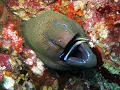 Fundamentals of Ecology Ch 2 Marine Biology Overview