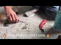 How To Repair Carpet Burns