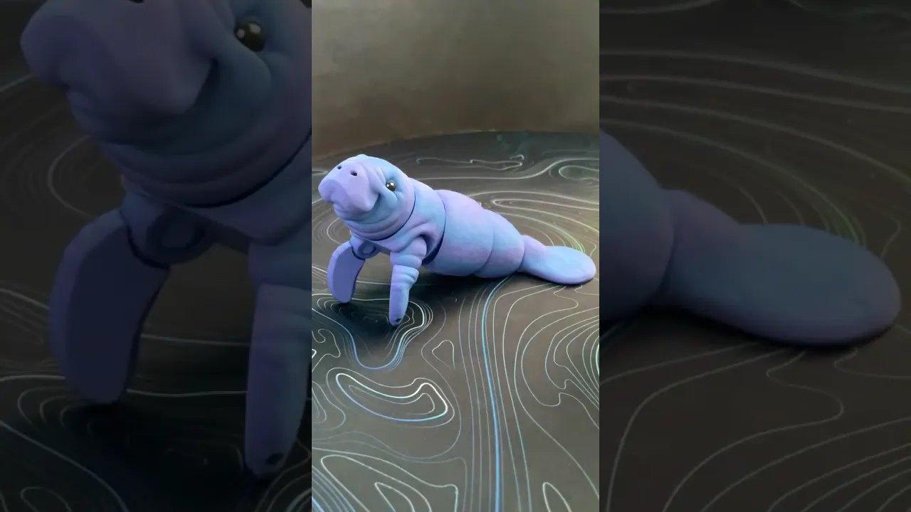 Manatee - Articulated Figure video thumbnail