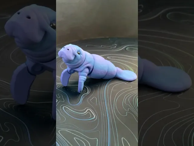 Manatee - Articulated Figure video thumbnail