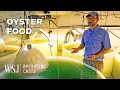 What It Takes to Grow Four Million Oysters From 1 5 Billion Larvae WSJ Operating Costs