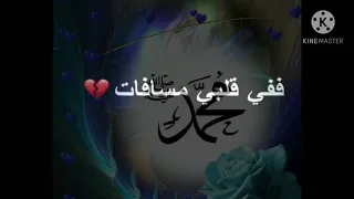 انشوده رسول الحب امنيتي دندنها