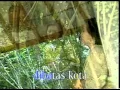 Download Lagu Putus cinta di batas kota = TITIK SANDORA