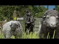 Arthur Morgan ft. 23 Theme (from 'AA23