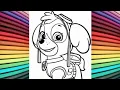 Skye Paw Patrol