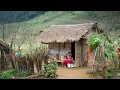 Download Lagu Most Peaceful and Relaxing Nepali Mountain Village Lifestyle | Life in Nature | Village Documentary