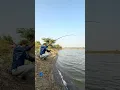 Download Lagu Fishing in river |￼ ￼ single hook, Fishing | new place | pamphlet fish. #fishing #vlog #hook