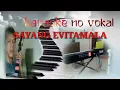 Download Lagu SAYANG -EVITAMALA_ DEDI ROSADI KARAOKE TANPA VOKAL