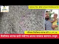 Download Lagu চাঁচকৈড় ধানের হাটে আজকের দাম কত? দেখে নিন ১২ জুলাই ২০২৫ | Dhaner Dam Update | গ্রামীণ হাট-বাজার