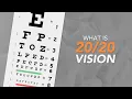 What is Vision