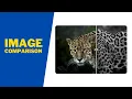 How To Create An Image Comparison Slider Using HTML CSS and JavaScript