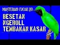 Lagu Ini Baru Masteran Cucak Ijo Mewah‼️Besetan \u0026 Roll Tembak Kasar Paling Dicari