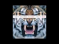 Thirty Seconds to Mars - L490 #12