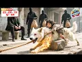 Download Lagu The K9 king storms the lair to save the CEO's daughter, one roar makes kidnappers tremble.