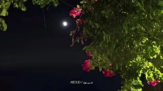 احمد بتشان      بعد غيابه    كلمات                                                دندنها