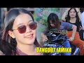 Download Lagu Hai-Hai mari kita Bergo-yang dengan Dangdut Jamaika